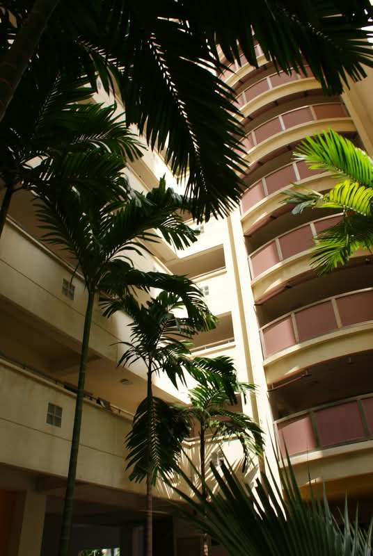 199B Punggol Field