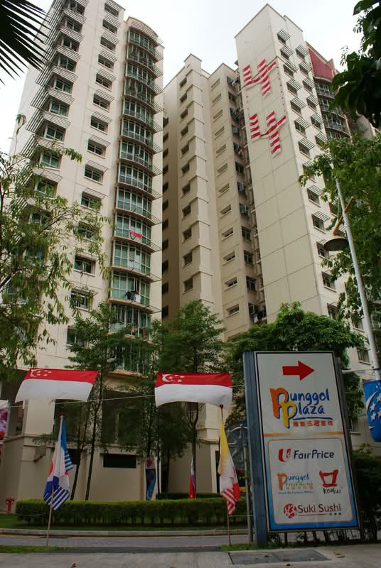 199B Punggol Field