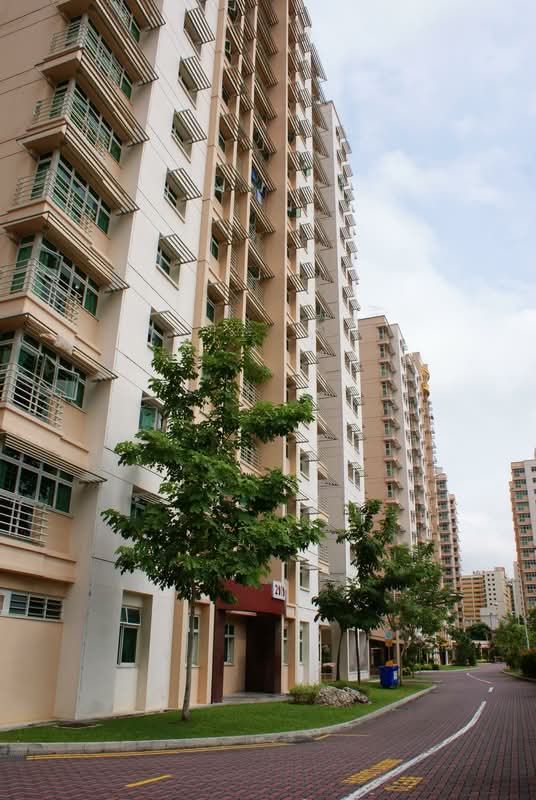 201D Punggol Field