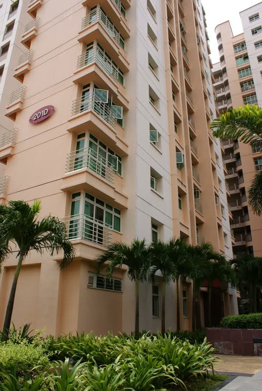 201D Punggol Field