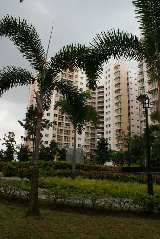 201D Punggol Field