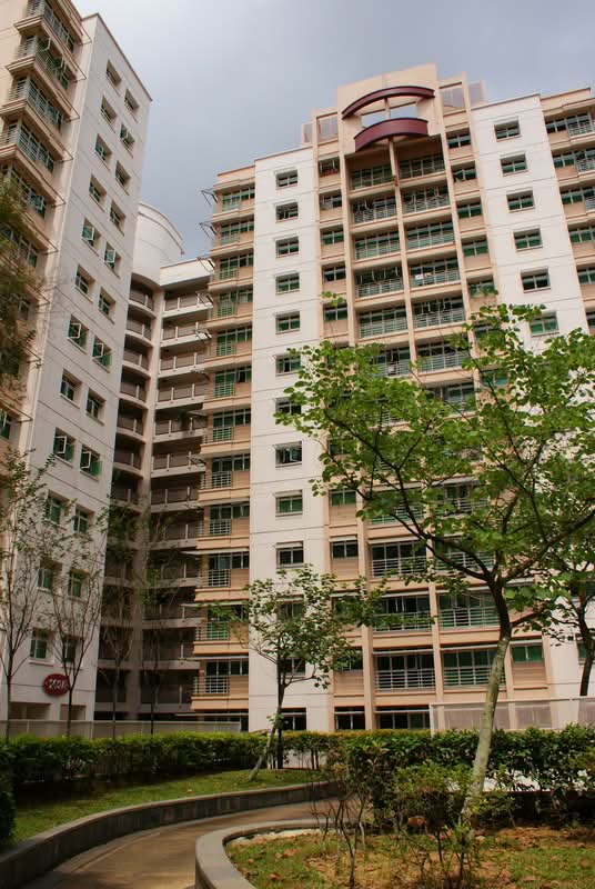 202A Punggol Field