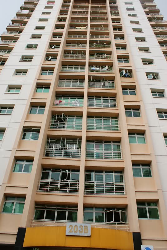 203B Punggol Field