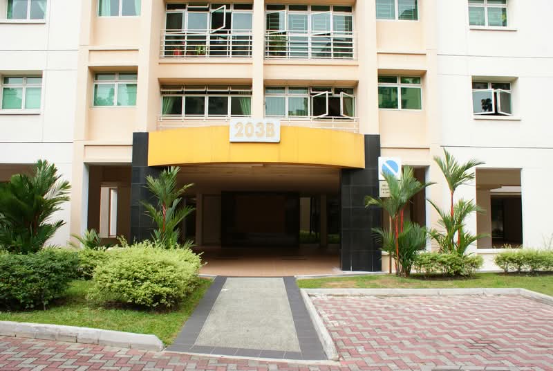 203B Punggol Field