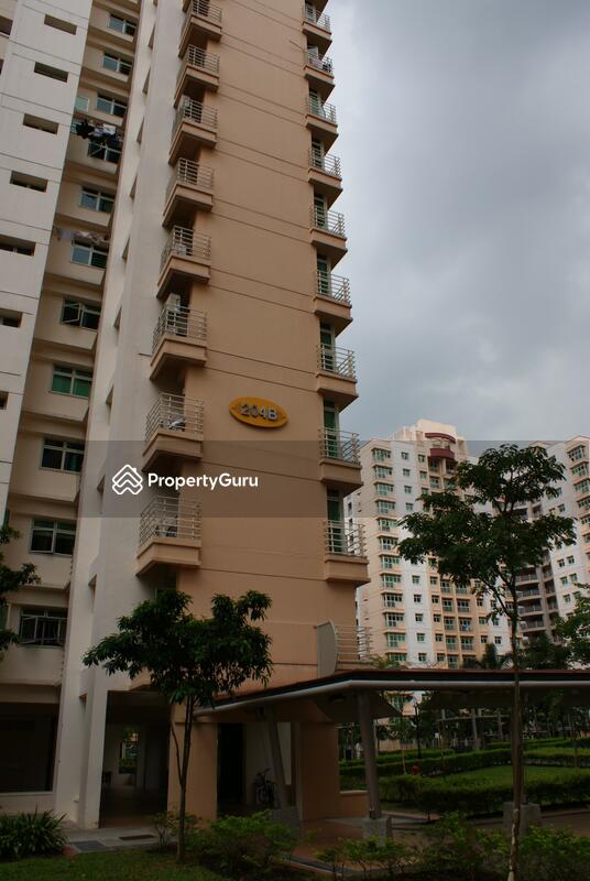 204B Punggol Field #0