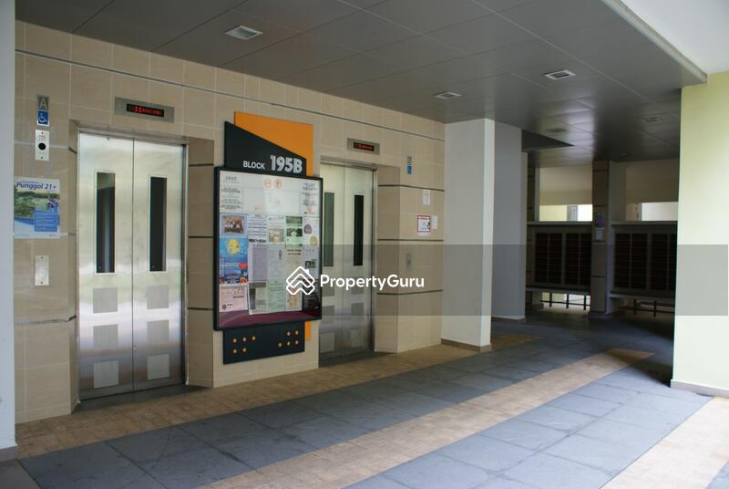 For Rent - 195B Punggol Road