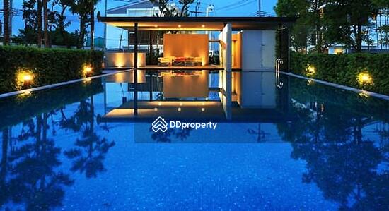 ขาย - The Terrace Ramintra 65 : เดอะ เทอเรส รามอินทรา 65, กรุงเทพ