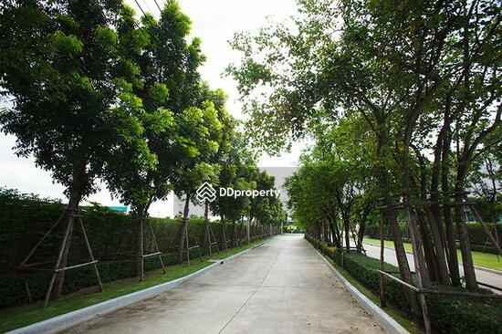 ขาย - Habitia Orbit Hathairat : ฮาบิเทีย ออร์บิต หทัยราษฎร์, กรุงเทพ