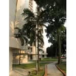 168A Queensway