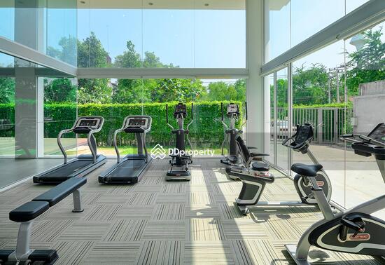 ขาย - My Resort Hua Hin : มายรีสอร์ท หัวหิน, ประจวบคีรีขันธ์