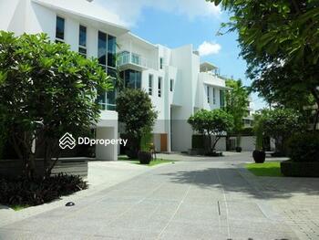 The Trees Sathorn : เดอะ ทรี สาทร