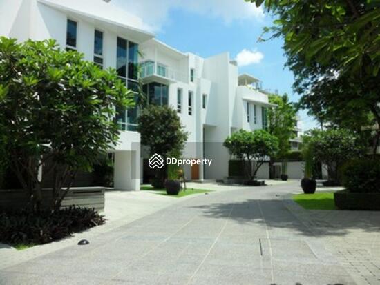 ให้เช่า - The Trees Sathorn : เดอะ ทรี สาทร, กรุงเทพ