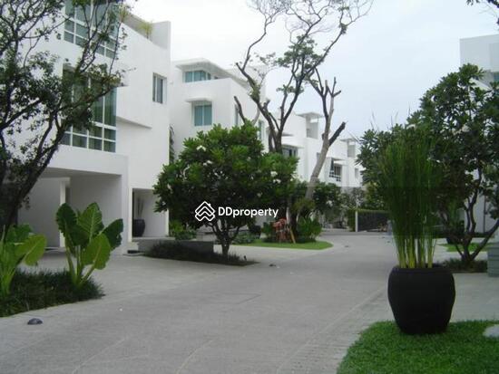 ให้เช่า - The Trees Sathorn : เดอะ ทรี สาทร, กรุงเทพ