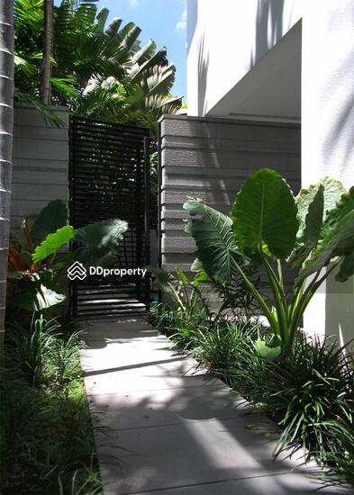 ให้เช่า - The Trees Sathorn : เดอะ ทรี สาทร, กรุงเทพ