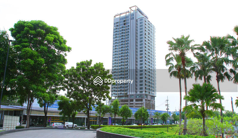For Rent - Infinity One Condominium, Chon Buri