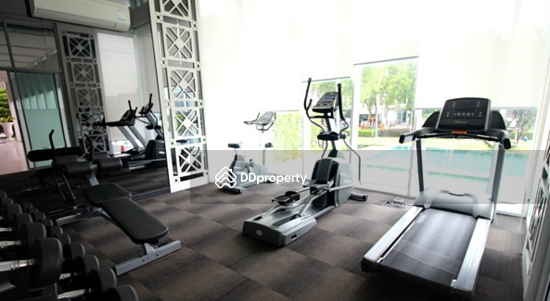 ให้เช่า - Town Avenue 60’s Vibhavadi 60 : ทาวน์ อเวนิว ซิกซ์ตี้ วิภาวดี 60, กรุงเทพ