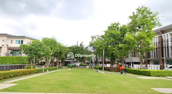 For Rent - Town Avenue 60’s Vibhavadi 60, Bangkok