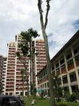 410 Saujana Road #0