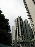 465 Segar Road #0