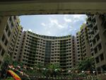 475 Segar Road #0
