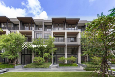 - Quarter 31 : ควอร์เตอร์ 31