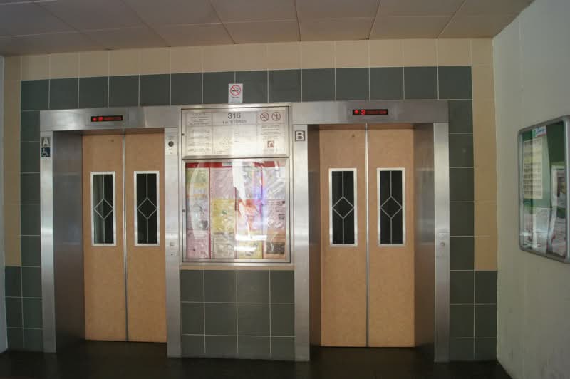 316 Sembawang Vista
