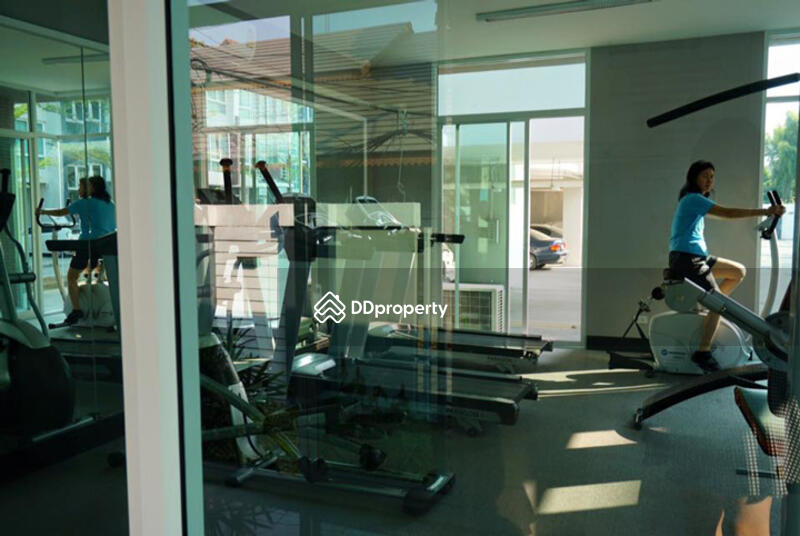 One Plus Condo - Suan Dok : วันพลัส คอนโด - สวนดอก #0