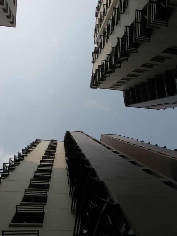 653 Senja Link
