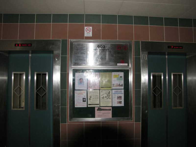 603 Senja Road