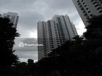 Senja Road