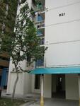 621 Senja Road #0