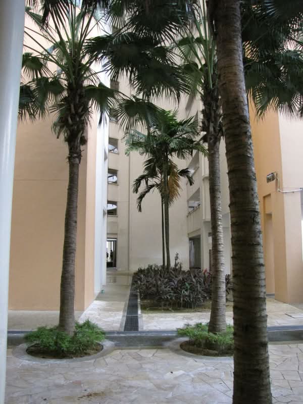 630 Senja Road