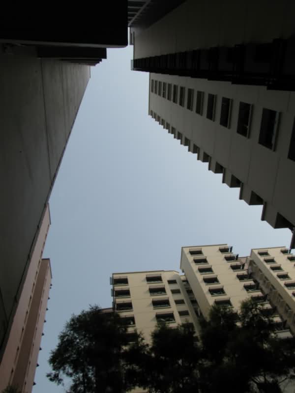 654 Senja Road