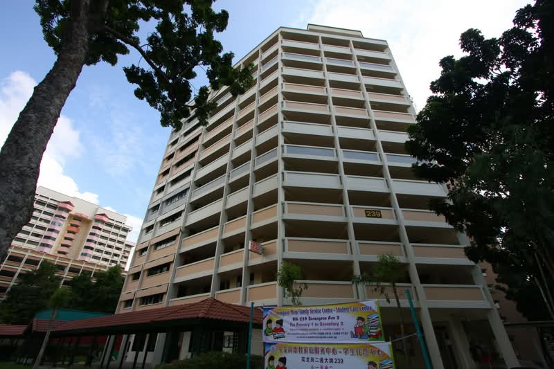 239 Serangoon Avenue 2 HDB Flat For Sale at S$ 788,000 | PropertyGuru Singapore