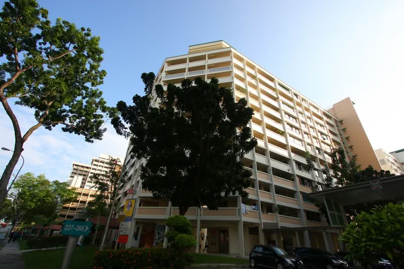 239 Serangoon Avenue 2