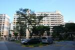 240 Serangoon Avenue 2 #0