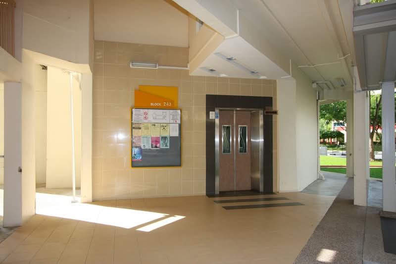 243 Serangoon Avenue 2