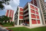 313 Serangoon Avenue 2 #0
