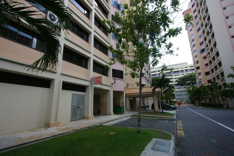 234A Serangoon Avenue 2