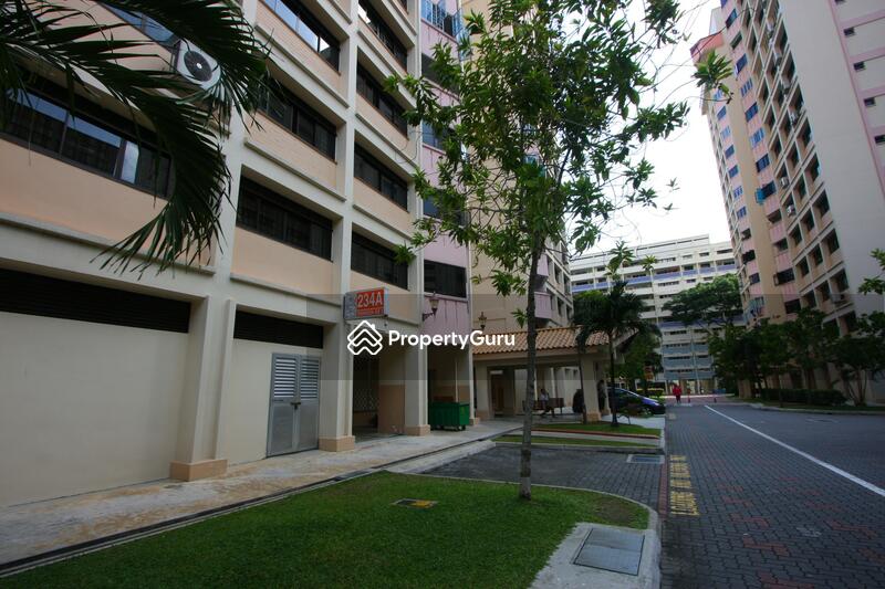 For Sale - 234A Serangoon Avenue 2