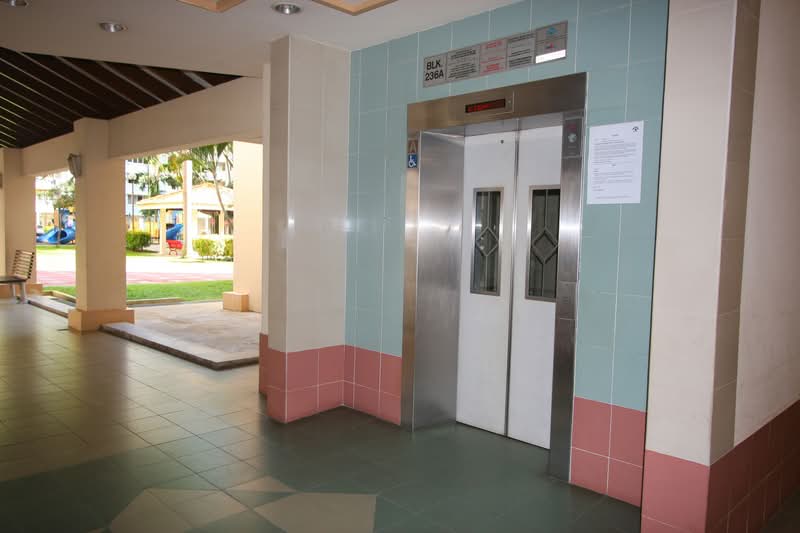 236A Serangoon Avenue 2