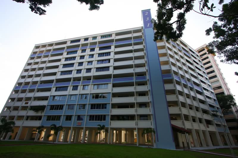 231 Serangoon Avenue 3