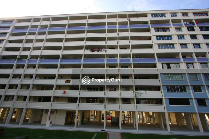 233 Serangoon Avenue 3 #0