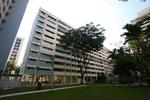 236 Serangoon Avenue 3 #0