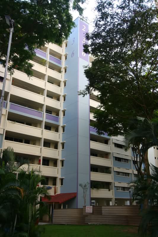 236 Serangoon Avenue 3