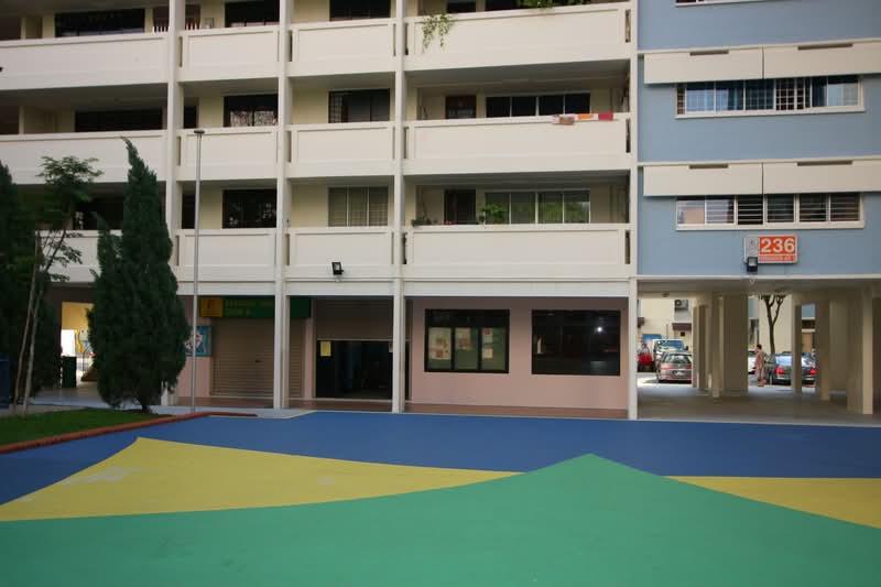 236 Serangoon Avenue 3