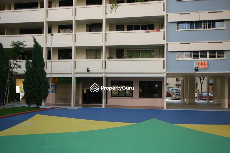 For Rent - 236 Serangoon Avenue 3
