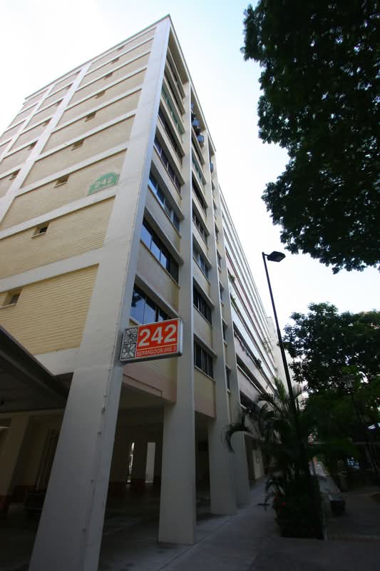 242 Serangoon Avenue 3