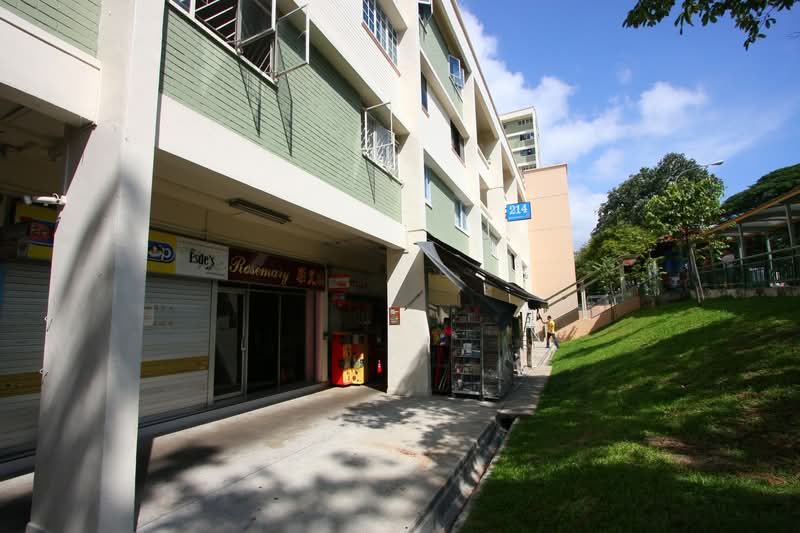 214 Serangoon Avenue 4