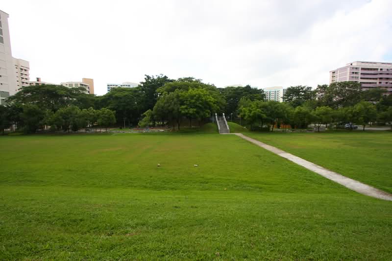 217 Serangoon Avenue 4